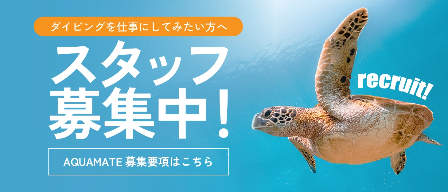 アクアメイトスタッフ募集バナー