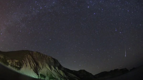 【2025年予約受付開始！】神津島 夜光虫ナイトクルーズ