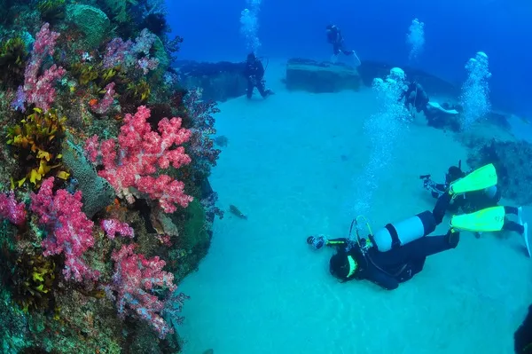 神津島　ファンダイビング　割間　アリマ