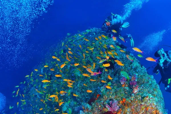 神津島　ファンダイビング　ナガンネ