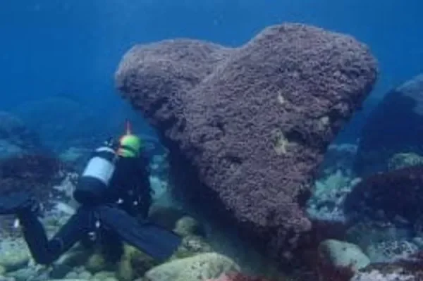 神津島　ファンダイビング　名組湾