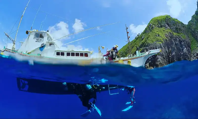 ファンダイビングをするダイバー