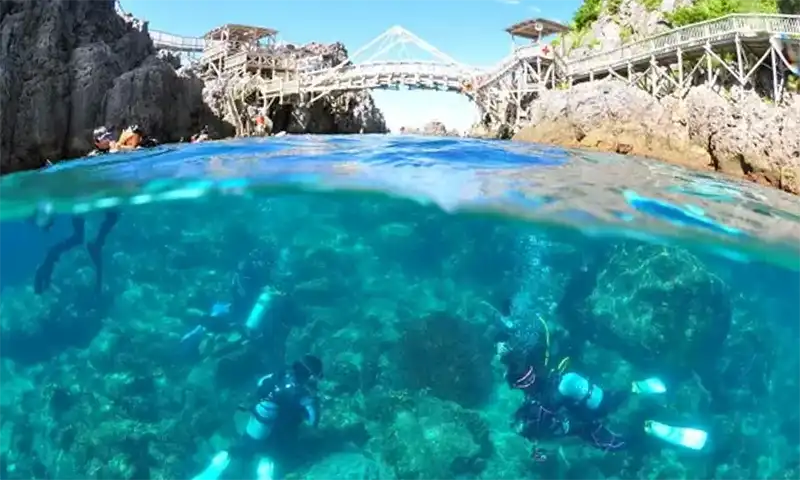 体験ダイビングをするダイバー