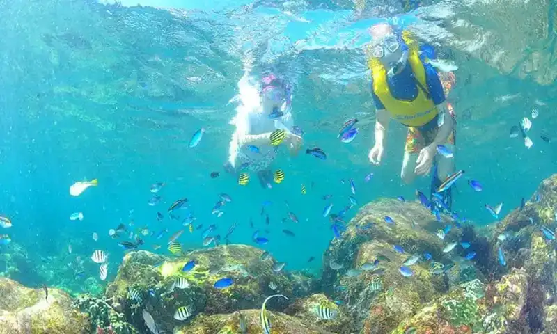 シュノーケリングを楽しむ子供
