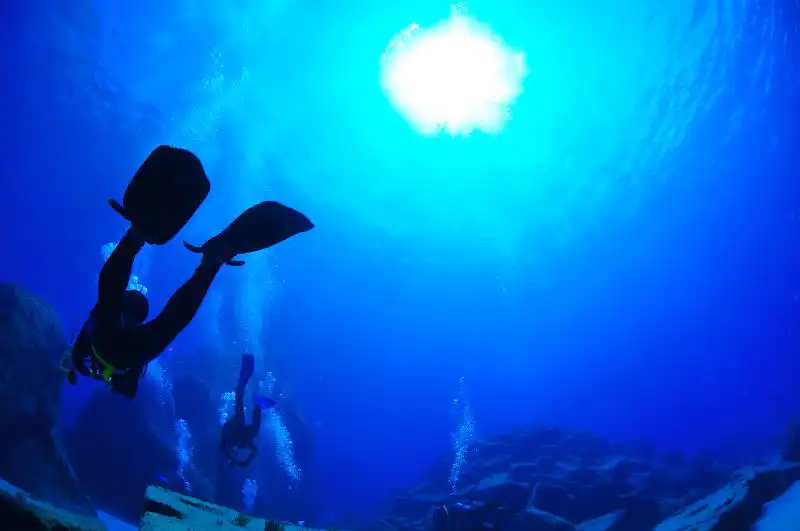 神津島 ダイビング