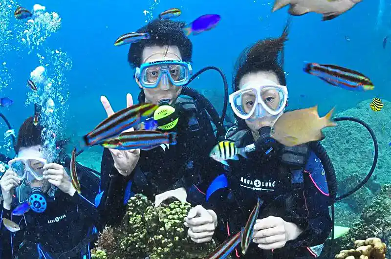 体験ダイビングをするダイバー